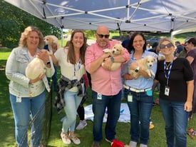 CMS Puppy Pit at the Picnic Event - HR Group 2